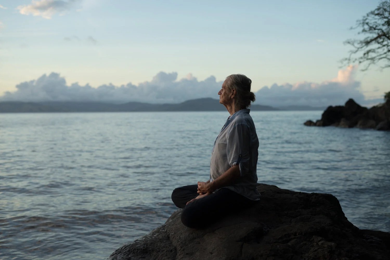 Mark Whitwell